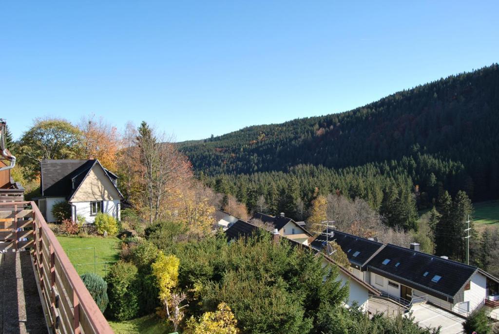 Pension Restaurant Waldblick Feldberg  Zewnętrze zdjęcie