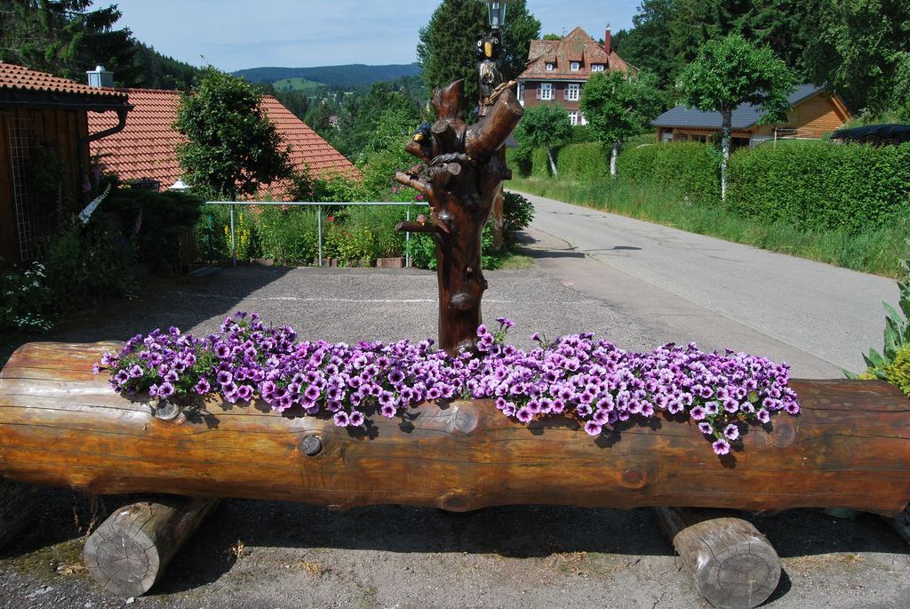 Pension Restaurant Waldblick Feldberg  Zewnętrze zdjęcie